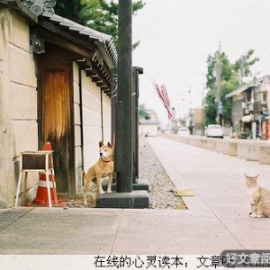 我的犹太人房东