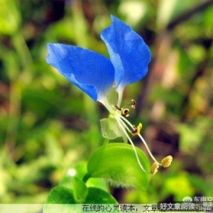 让灵魂跟上脚步