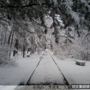 一个人，应该这样过