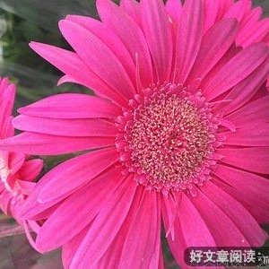 离婚冷静期通过了，你还想结婚吗？