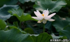 丧过之后，就加倍努力吧