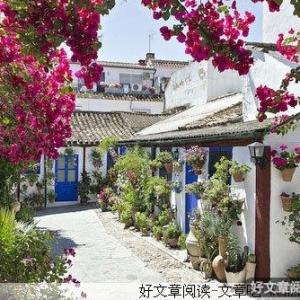 与死神对话的人
