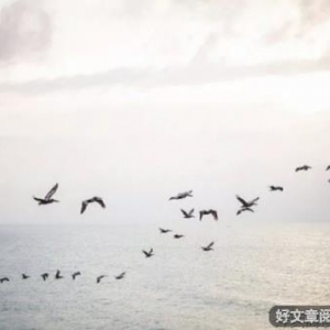 幽默短篇：以貌取人