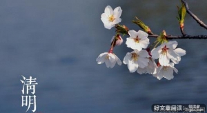泪优美的句子