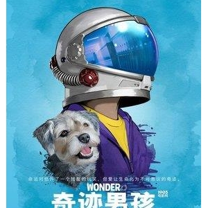 《生命的奇迹》的观后感大全