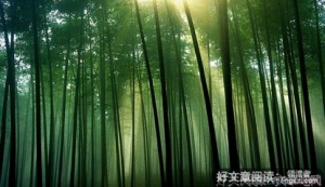 把风界些扣动心弦的花好词好句