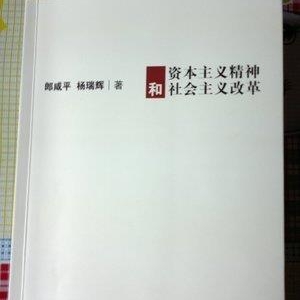 《资本主义精神和社会主义改革》读后感精选10篇