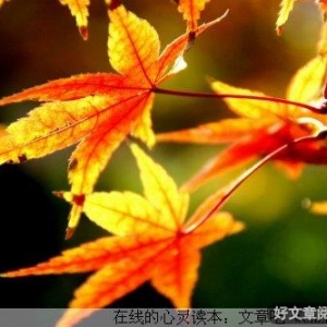 你所处的环境，决定你未来成长的高度