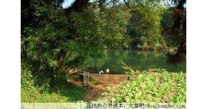 以书为伴，用心相守