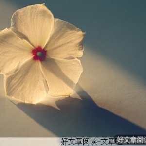 幸福像花儿一样