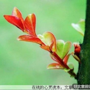 成就适度的人生