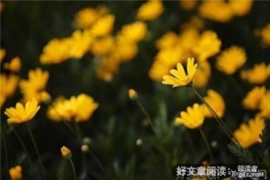 当你感到累了，请记住这几点！