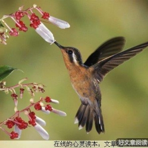 守住自己的心
