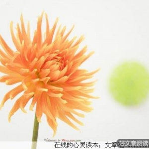 失败是人生的财富