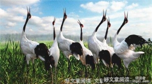 心扉