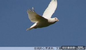 拥有完整的人生