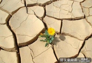 物欲横流的名言_关于物欲横流的名言