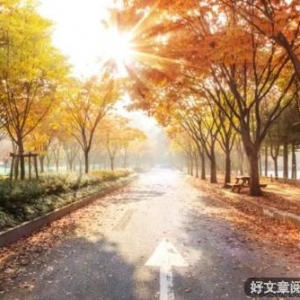 生命就是一种奋斗