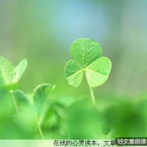 聪明女人和笨女人