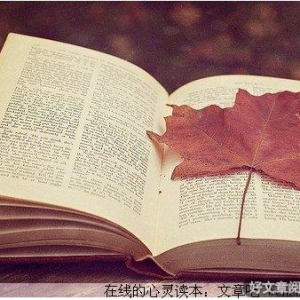 太阳般温暖