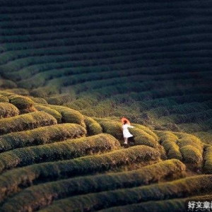 柔的力量（深刻）