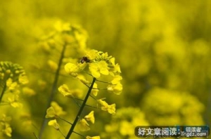 吼吼的句子