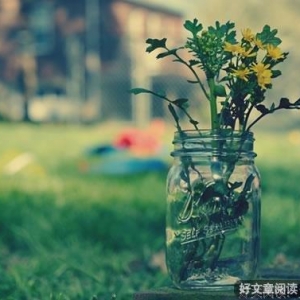 这是世界上最便宜的长寿药，让你没时间生病！（受益匪浅） ...