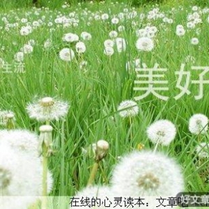 感谢生活中的每一位敌人