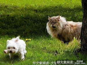 5个经典笑话解读男女本性！丝丝入扣