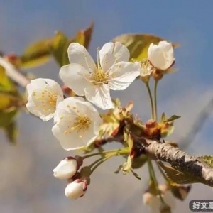 飞来的79天监狱之灾