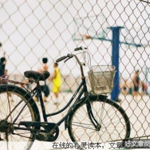 懂得感动，把握住幸福的瞬间！