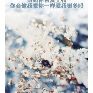 只为失是的样要失是一人的句子