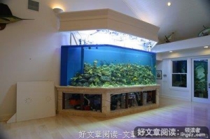 用来看海的鱼缸，碎了一地！