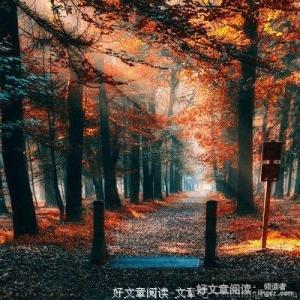 用心才能看的见