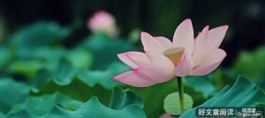 这四种人自带贵气，一定要结交