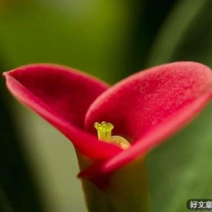 新的一年，无论多难，都为自己加油