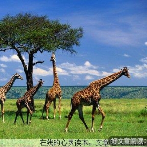 乐观的品味人生