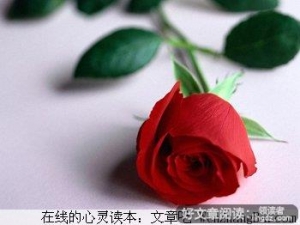 教你做个聪明的女人