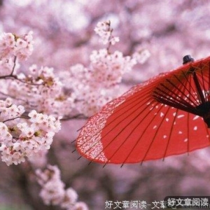 蚂蚁的醒悟