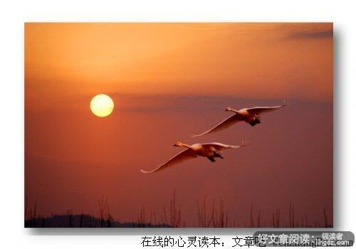 记得常回家看看