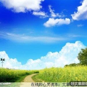 心宽路自宽