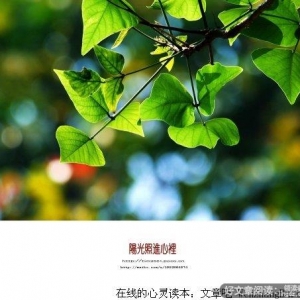 让阳光照进心灵