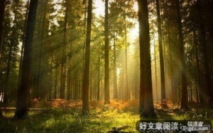 浅仁周运（6.1-6.7）| 风雨里做个大人，阳光下做回孩子