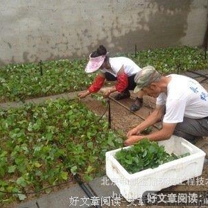 繁忙的生活，不要遗忘了那一丝丝的感动！