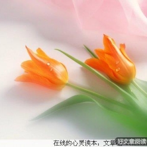 身处的环境决定你未来的高度