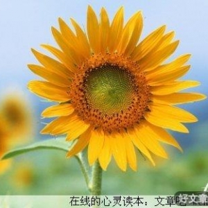 养成良好的人生态度