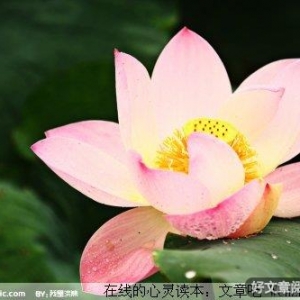 近朱者赤近墨者黑