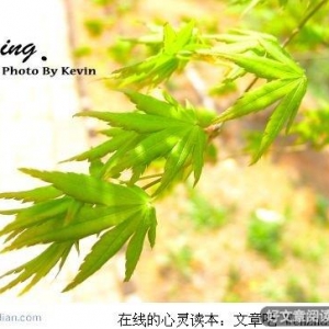 抓住生命的节奏