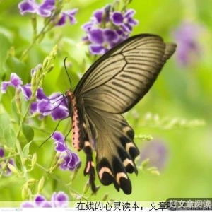 平凡的人生，不平凡的态度