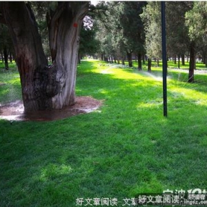 做一颗小草，还是大树？你想好了吗？